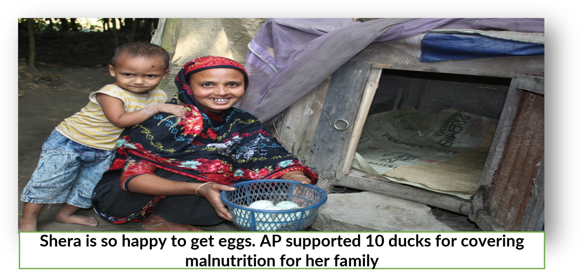 AP provided duck to reduce malnutrition of children.png