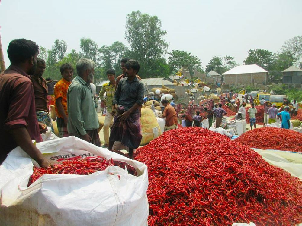 Chilli Purchasing.jpg