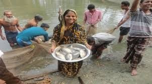 Fish Culture PG.jpg