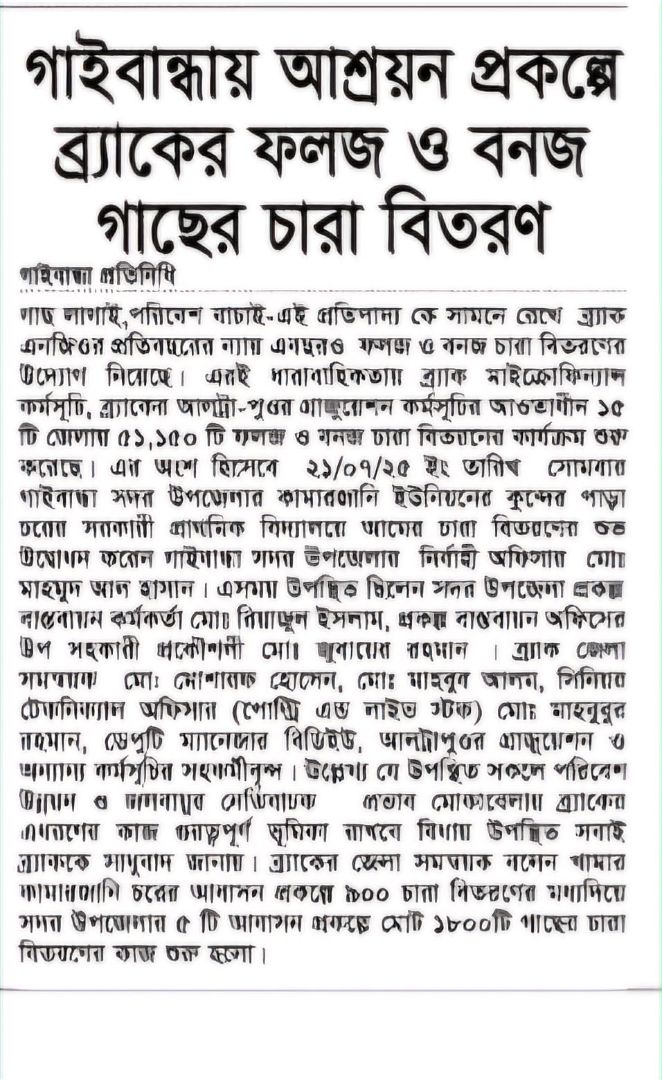 MF Sapling 21.07.2025.jpg