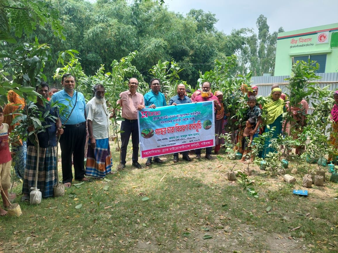 MF Sapling Kamarjani.jpg