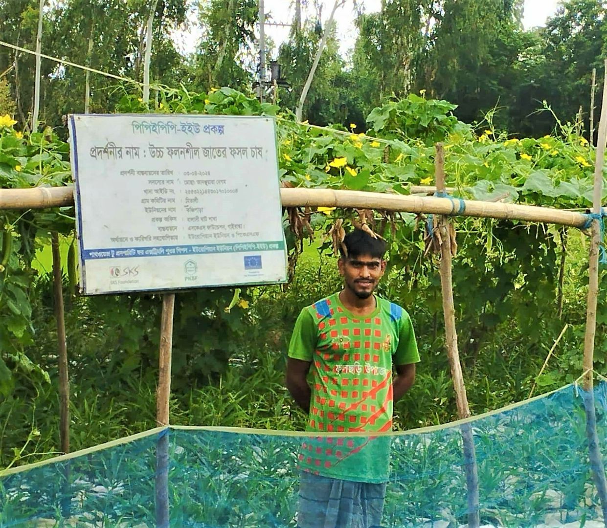 Photo of Ginger Cultivation .jpg